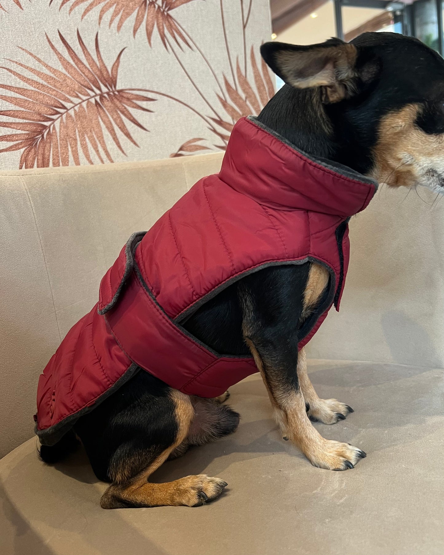 PIUMINO CALDOSO BORDEAUX